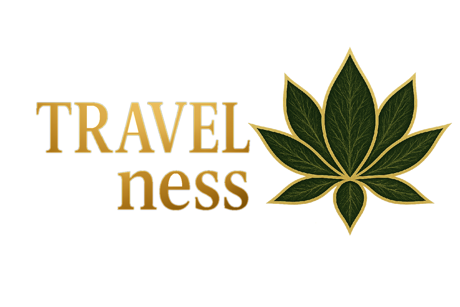 TravelNess